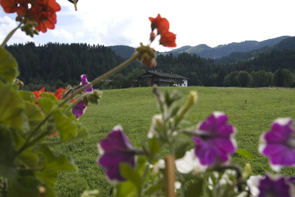 Haus Schatzbergblick Oberau Dış mekan fotoğraf